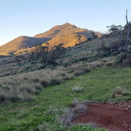 Villa Pichi Richi Park Quorn Esterno foto