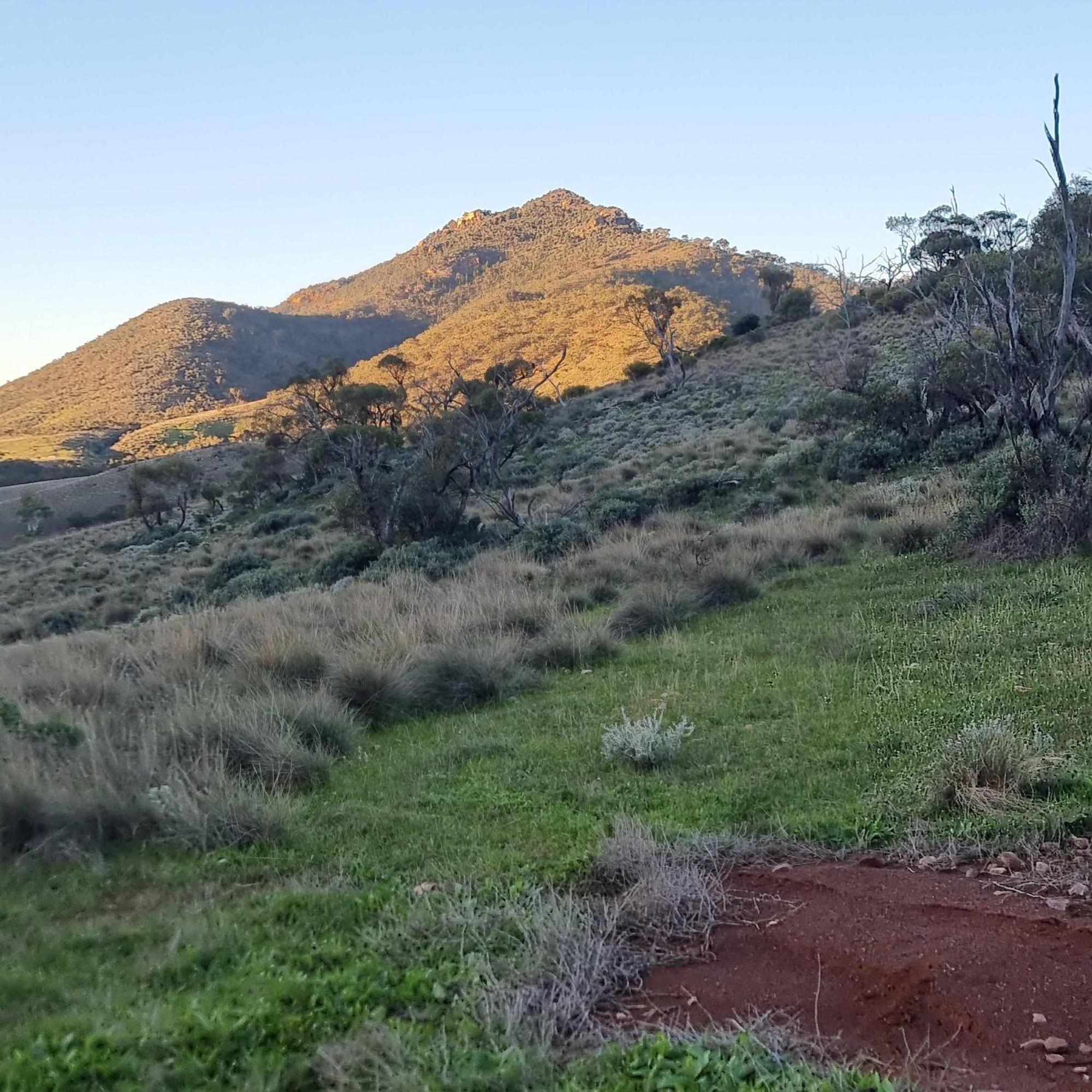 Villa Pichi Richi Park Quorn Esterno foto